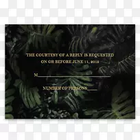 绿叶树-空若网 绿叶树-空若网