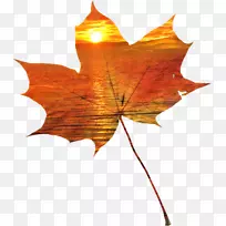 博客日记剪辑艺术秋季文本-秋天-空若网 博客日记剪辑艺术秋季文本-秋天-空若网