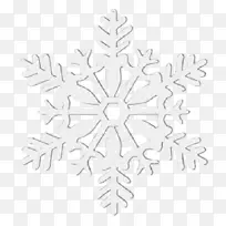 雪花图案对称线艺术雪花-空若网 雪花图案对称线艺术雪花-空若网