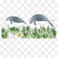 鱼-空若网 鱼-空若网