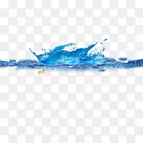 鱼类热带海洋计算机文件-水印鱼-空若网 鱼类热带海洋计算机文件-水印鱼-空若网