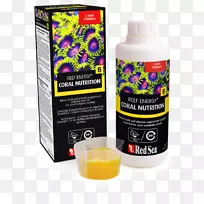 红海膳食补充剂珊瑚礁-海-空若网 红海膳食补充剂珊瑚礁-海-空若网