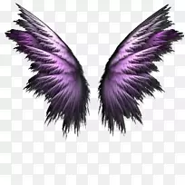 ������pngͼƬ���Ų��ֲ�ɫͼ��.���-������