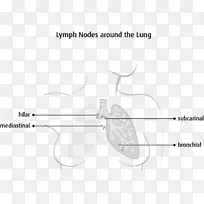 淋巴结淋巴系统纵隔肺癌细胞详情-空若网 淋巴结淋巴系统纵隔肺癌细胞详情-空若网