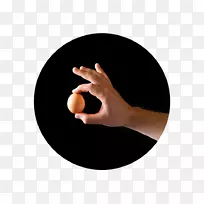 Ĵָ��Ʒ���.����ʳƷ��Ŀ-������