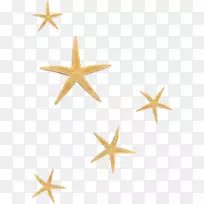 海星棘皮动物海洋无脊椎动物剪贴画-海星-空若网 海星棘皮动物海洋无脊椎动物剪贴画-海星-空若网