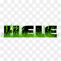 ²Ýƺ²ÝµéÂÌɫͼÐβÝ-Hele-¿ÕÈôÍø ²Ýƺ²ÝµéÂÌɫͼÐβÝ-Hele-¿ÕÈôÍø