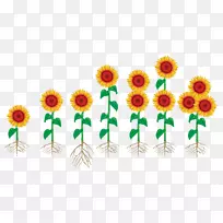 ��������л����տ�����ͼ��.��-������