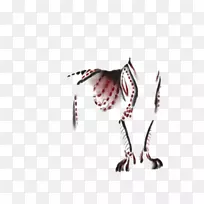 羽毛喙颈画狮子-空若网 羽毛喙颈画狮子-空若网