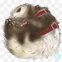 肉食动物-空若网 肉食动物-空若网