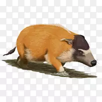 始新世-空若网 始新世-空若网