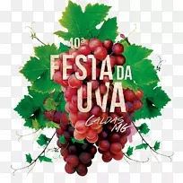 普通葡萄,黑醋栗酒,无核水果-葡萄-空若网 普通葡萄,黑醋栗酒,无核水果-葡萄-空若网