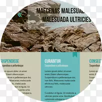 树积-树-空若网 树积-树-空若网