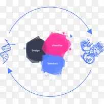 遗传学生物蛋白质工程设计生命科学-空若网 遗传学生物蛋白质工程设计生命科学-空若网