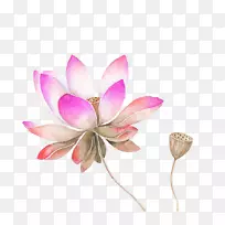 莲花水彩画花素描粉红色水彩画莲花图案-空若网 莲花水彩画花素描粉红色水彩画莲花图案-空若网