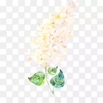 花卉图案花瓣水彩画丁香浮花-空若网 花卉图案花瓣水彩画丁香浮花-空若网