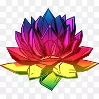 花瓣花卉切花图案-莲子-空若网 花瓣花卉切花图案-莲子-空若网