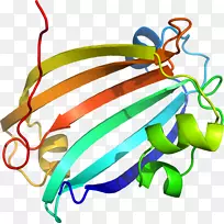 剪贴画蔬菜产品设计有机体系列-蔬菜-空若网 剪贴画蔬菜产品设计有机体系列-蔬菜-空若网