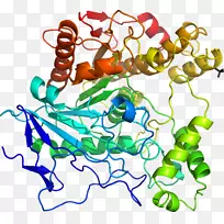 剪贴画有机体珠宝线-空若网 剪贴画有机体珠宝线-空若网