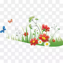 ��Ȼ���۲�ͼ-���ܲݵ�-������