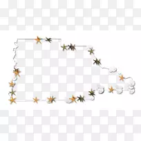 昆虫区体珠宝图案.海星轮廓-空若网 昆虫区体珠宝图案.海星轮廓-空若网