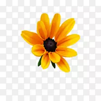 ��Ӱ�滭InstagramͼƬ������Ӱ������-��ɫ����-������