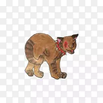 猫科动物陆生动物尾鼻-猫-空若网 猫科动物陆生动物尾鼻-猫-空若网