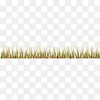 ���ͣ�ͼƬ�����꣬�ݵ�-������