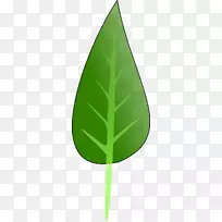 产品设计叶三角形绿叶-空若网 产品设计叶三角形绿叶-空若网