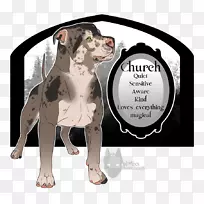 犬种-空若网 犬种-空若网