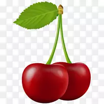 樱桃水果剪贴画-樱桃透明PNG剪贴画-空若网 樱桃水果剪贴画-樱桃透明PNG剪贴画-空若网