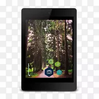 ��ý��С����-����-������