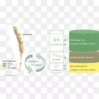 Ʒ�Ʋ�Ʒ��Ʋ�.��ʯȼ��-������