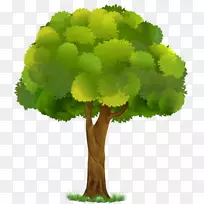 ������¶�첿��pngͼƬ�������ֽ��-������