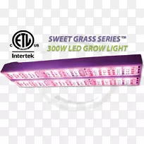 ������������������ƾ�-������