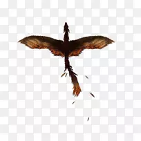 昆虫-空若网 昆虫-空若网