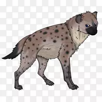 犬种病毒鼻子-狗-空若网 犬种病毒鼻子-狗-空若网