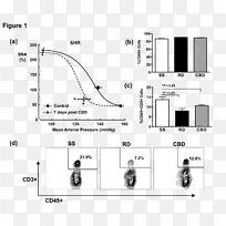 神经系统和高血压自主神经系统交感神经系统-报告摘要-空若网 神经系统和高血压自主神经系统交感神经系统-报告摘要-空若网