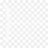 印度尼西亚电子数据交换业务公司电子数据处理.Manggis-空若网 印度尼西亚电子数据交换业务公司电子数据处理.Manggis-空若网