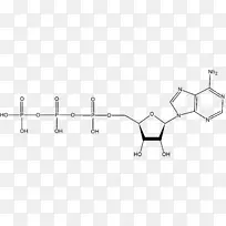 胺类氨基酸官能团有机化合物有机酸酐-可溶性-空若网 胺类氨基酸官能团有机化合物有机酸酐-可溶性-空若网