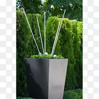 草花盆草本科-空若网 草花盆草本科-空若网