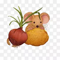 ʮ������������격�͸�������-������