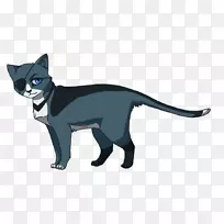 小猫,科拉特胡须,雪茄烟,幽灵蜂巢,塞巴斯蒂安米凯利斯-小猫-空若网 小猫,科拉特胡须,雪茄烟,幽灵蜂巢,塞巴斯蒂安米凯利斯-小猫-空若网