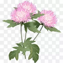 花蓟剪贴画.蓟片-空若网 花蓟剪贴画.蓟片-空若网