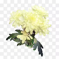 菊花花卉设计大丽花-菊花切花-空若网 菊花花卉设计大丽花-菊花切花-空若网