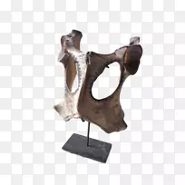 雕塑阿斯马特摄政木雕石斑骨材料-空若网 雕塑阿斯马特摄政木雕石斑骨材料-空若网