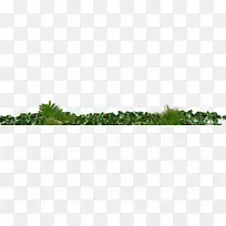 Âó²ÝÖ²Îï¾¥-ÍÆ¹ã×°ÊÎ-¿ÕÈôÍø Âó²ÝÖ²Îï¾¥-ÍÆ¹ã×°ÊÎ-¿ÕÈôÍø