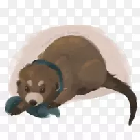 ��ĩ��ë�޶���&�ɰ�����ߣ��������-ë���׵�ˮ̡-������