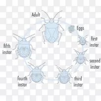 插图绘图/m/02csf图形动画.阶段集-空若网 插图绘图/m/02csf图形动画.阶段集-空若网