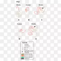 ŷ�ޱ�/ŷ������ֽ����ɫ��-������